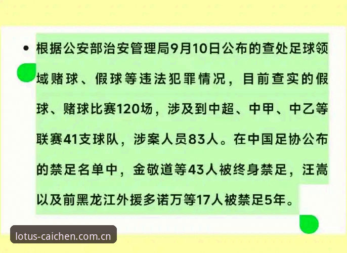 足协第三批禁足名单最新动态：17人终身禁足，行业整肃风暴持续升级