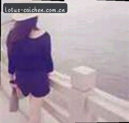 徐太太
